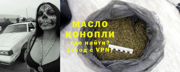 гидра Краснослободск
