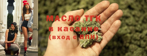 гидра Краснослободск