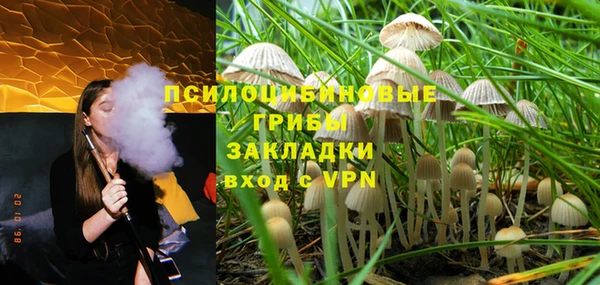 прущая мука Кукмор
