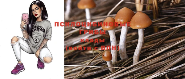 герыч Кулебаки