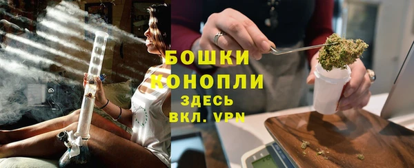гидра Краснослободск
